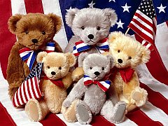 Bears in the USA